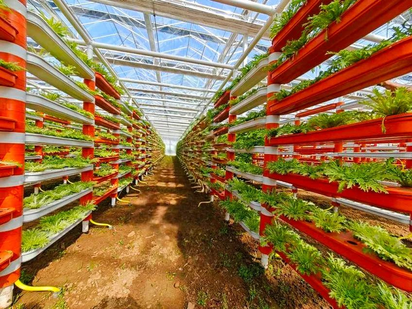 項目展示